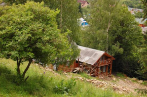 Krutogora